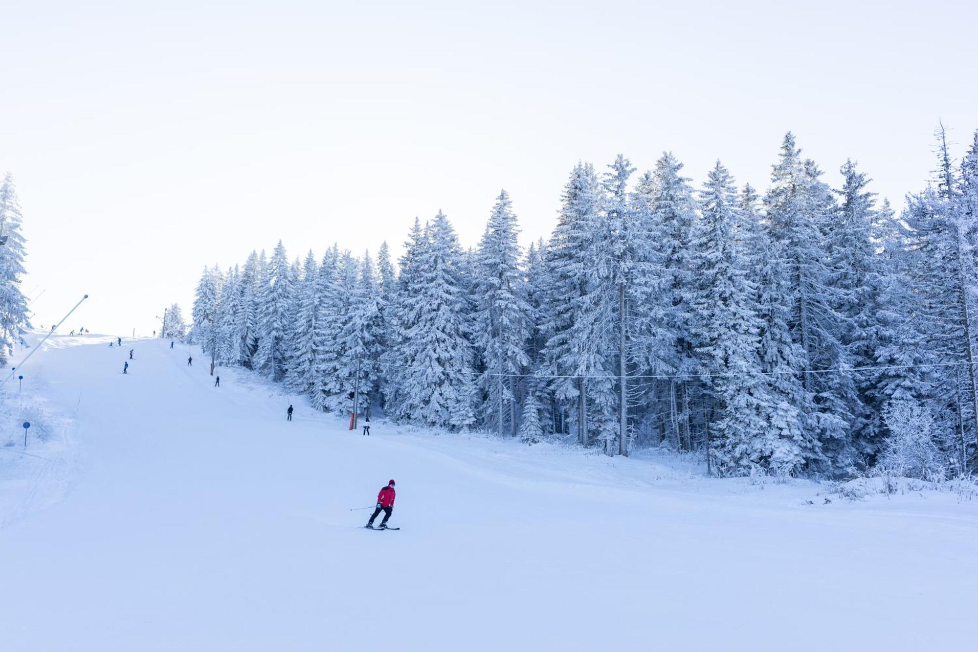 Planinske Vile M&S Kopaonik Exterior foto